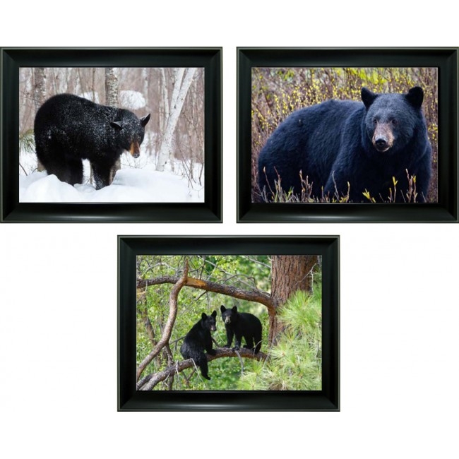 3D Lenticular picture w/ frame